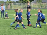 S.K.N.W.K. JO8-1 - M.Z.C. '11 JO8-3 (competitie) 2024-2025 (4e fase) (84/109)